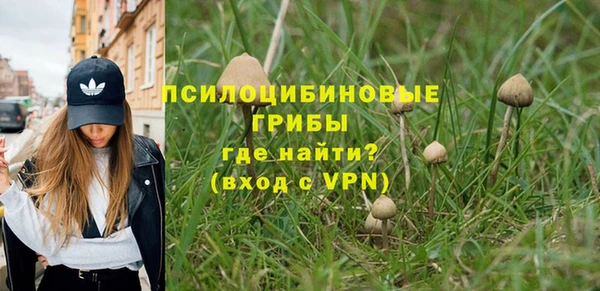 мет Аркадак