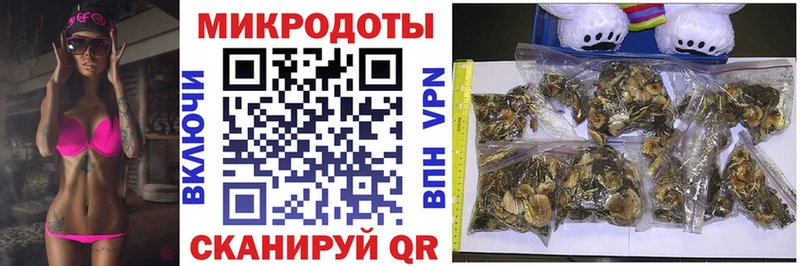 Псилоцибиновые грибы мухоморы кракен tor Губкинский